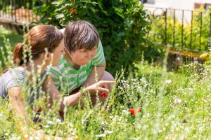 Image: Two people outside on a sunny day, looking at something in the tall grass.